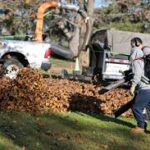 Fall Cleanup (1)