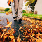 Fall Cleanup (6)