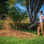 Fall Cleanup (7)