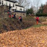 Fall Cleanup (8)
