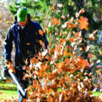 Fall Cleanup (9)