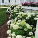 Garden Bed Maintenence (7)