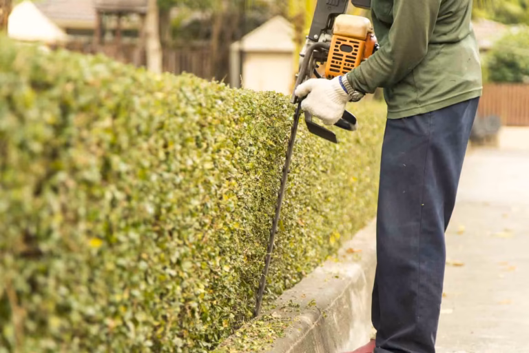 Hedge trimming (1)