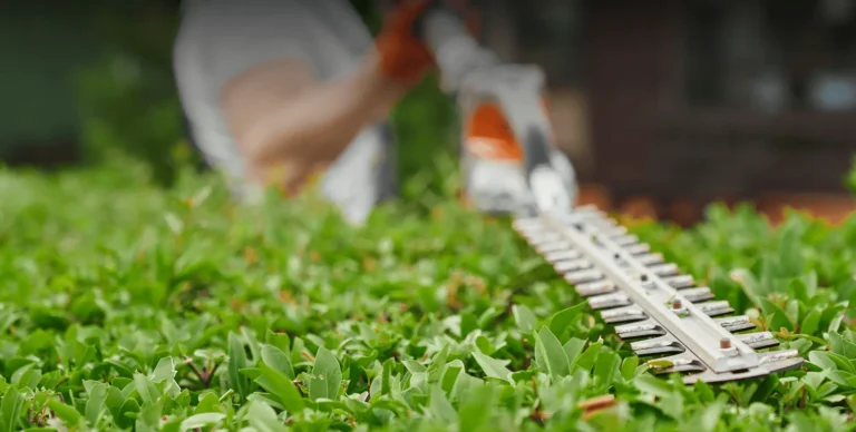 Hedge trimming (2)