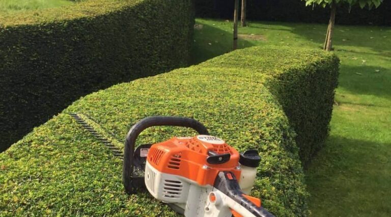 Hedge trimming (6)