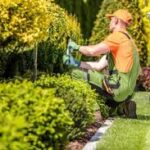 Landscaping maintenence (1)