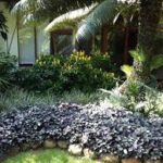 Landscaping maintenence (2)