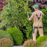 Landscaping maintenence (5)