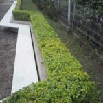 Landscaping maintenence (9)