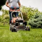 Lawn maintenence (1)