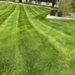 Lawn maintenence (1)