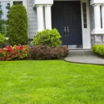 Lawn maintenence (1)