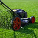 Lawn maintenence (2)