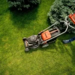 Lawn maintenence (2)