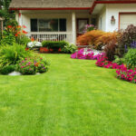 Lawn maintenence (3)