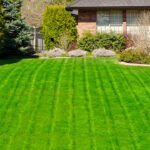 Lawn maintenence (6)