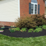 Mulch installation (1)