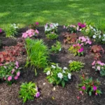 Mulch installation (2)