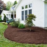 Mulch installation (5)