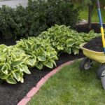 Mulch installation (6)