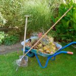 Spring Cleanup (1)