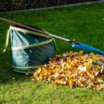 Spring Cleanup (1)