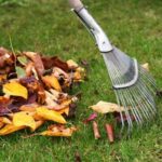 Spring Cleanup (2)