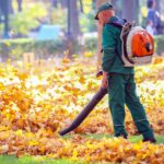 Spring Cleanup (3)