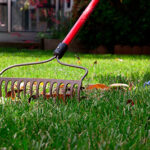 Spring Cleanup (5)