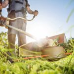 Spring Cleanup (6)