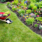 Spring Cleanup (7)