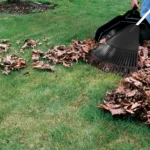 Yard Cleanup (1)