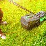 lawn mowing (1)