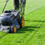 lawn mowing (2)