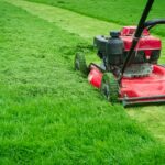lawn mowing (7)