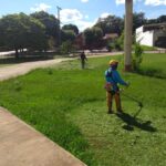 lawn mowing (8)