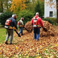 Fall Cleanup (4)