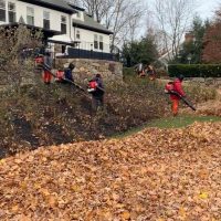 Fall Cleanup (8)