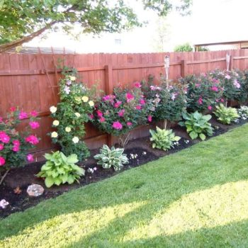 Garden Bed Maintenence (2)