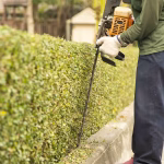 Hedge trimming (1)