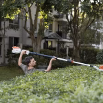 Hedge trimming (2)