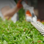 Hedge trimming (2)