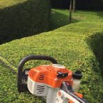 Hedge trimming (6)