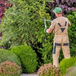 Landscaping maintenence (5)
