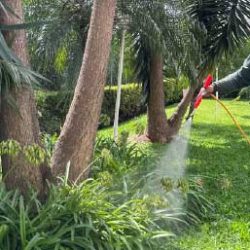 Landscaping maintenence (6)
