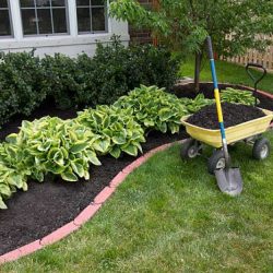 Landscaping maintenence (7)