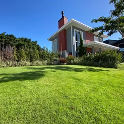 Lawn maintenence (1)