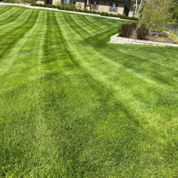 Lawn maintenence (1)