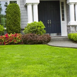 Lawn maintenence (1)