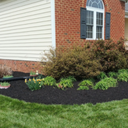 Mulch installation (1)
